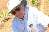 Dr. Robert Norris, professor emeritus and vegetable crops weed specialist, UC Davis Dept. of Plant Sciences (photo by P. Cavanaugh)