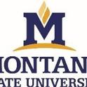 logo Montana State Univ