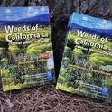 Weeds of CA