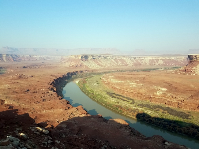 View of the green river from Turks head in 2018, notice the defoliated and brown tamarisk on the banks of the river intermixed with the willows.