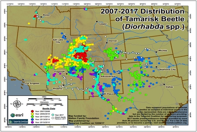 2007-2017 Tamarisk Leaf beetle distribution map. Courtesy of Riversedgewest.org and the Tamarisk Coalition