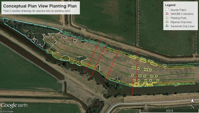 Figure 4. Conceptual planting plan for the Emigh R. Livestock / Ulatis Creek Arundo control and habitat enhancement project site.