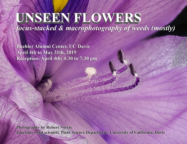 Unseen flowers exhibit announcement