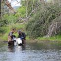 John Miskella (left) and Rui Adachi sampling for curlyleaf pondweed in Putah Creek. Photo: Sara Ohadi.