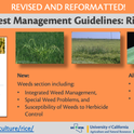 Infographic showing what is in the revised Pest Management Guidelines for Rice.