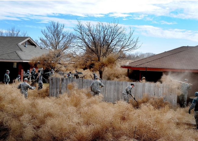 Commandos from Cannon Air Force Base, N.M., clear tumbleweeds from a residential area in Clovis, N.M., 2014. U.S. Air Force/Senior Airman Ericka Engblom