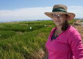 Whitney Brim-DeForest, UC Cooperative Extension Rice Advisor