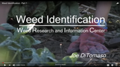 Training video--Weed identification