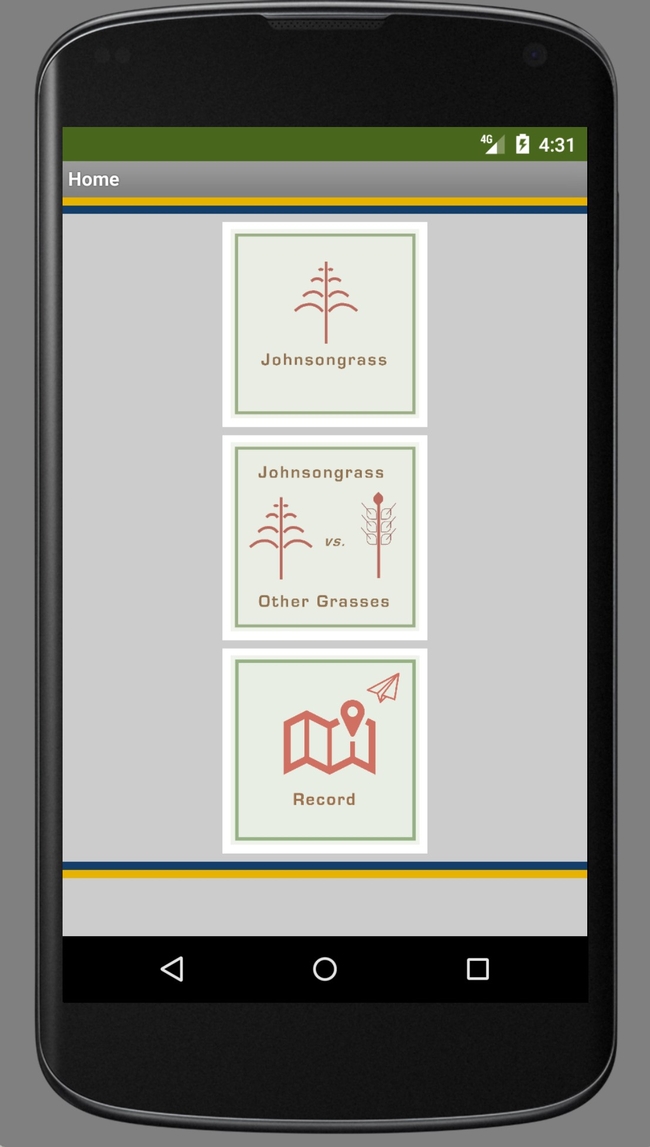 The Johnsongrass app home screen allows users to select between management and identification resources or record the location of confirmed Johnsongrass.