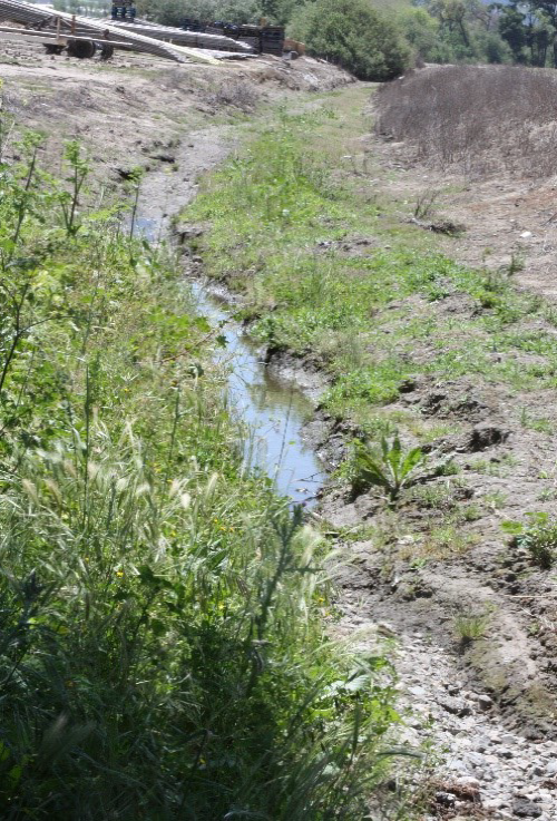Ditches provide a habitat for cool season weeds to survive fall to spring.