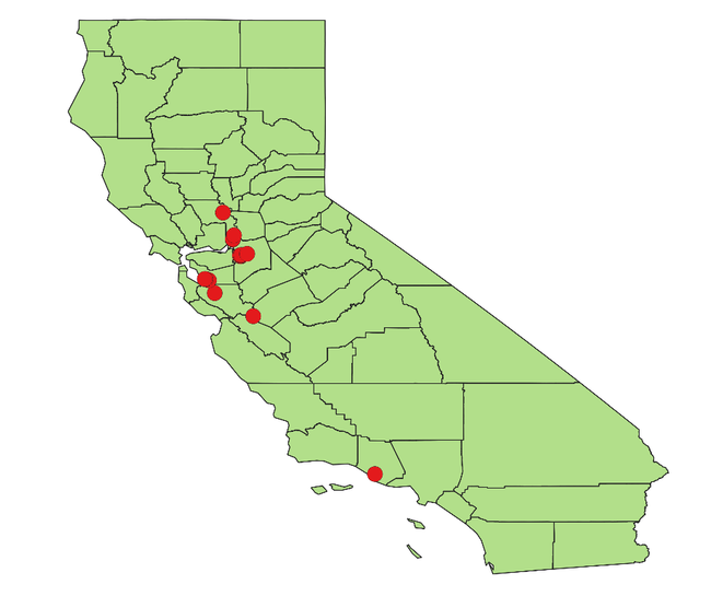 Figure 4: Distribution of branched broomrape in California as of November 10, 2019. Data source: Calflora and GBIF 2019