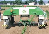 Vegetable weeder is demonstrated at Weed Day at UC Davis. (photo credit: Bob Johnson)