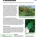 Pest Notes-Pokeweed cover