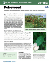Pest Notes-Pokeweed cover