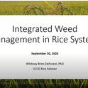Integrated Weed Management in Rice Systems presentation by Whitney Brim-DeForest
