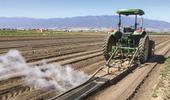 After testing steam treatments in three Salinas Valley trials this year, UC Cooperative Extension specialists say they believe the technique can significantly reduce weed pressure in lettuce and spinach fields, and can cut hand-weeding time. Photo/Courtesy Steve Fennimore, UCCE/UCD
