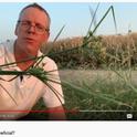 video cover_Can weeds be beneficial?