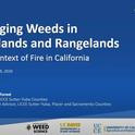 Managing Weeds in Grasslands and Rangelands in the Context of Fire in CA