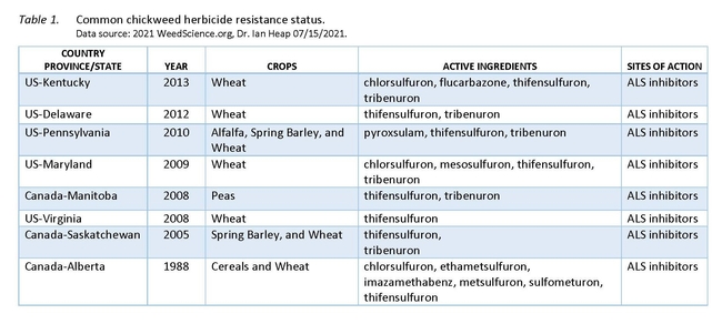 Table 1. Common chickweed herbicide resistance status. Data source: 2021 WeedScience.org, Dr. Ian Heap 07/15/2021.