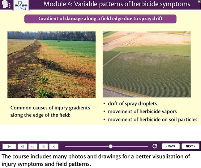 Screen from the course, Module 4, Variable Patterns of Herbicide Symptoms. Screen depicts gradients of damage along a field edge due to spray drift. Text on screen: Common causes of injury gradients along the edge of the field: drift of spray droplets, movement of herbicide vapors, movement of herbicide on soil particles. Two images depict crop injury (discoloration) at the edge of the field.