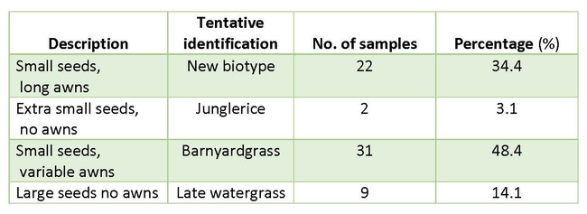 Table 1. Watergrass (Echinochloa spp.) samples were collected across the rice-growing region in 2020. The samples were sorted by the seed description (preliminary description) and tentatively identified to species/biotype. Note the number of samples of each type, as well as the percentage of the overall samples.