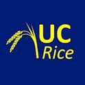 UC Rice