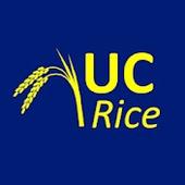 UC Rice logo