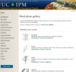 Figure 1. UC IPM weed category