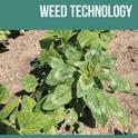 Weed Technology journal