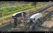 Autonomous weeding robot for agriculture