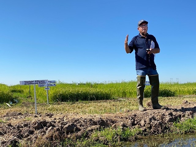 Department of Plant Sciences weed expert Kassim Al-Khatib discusses results of field trials involving new herbicides during Rice Field Day on Aug. 31 at the Rice Experiment Station in Biggs, CA. (Photo by Trina Kleist/UC Davis Plant Sciences.)