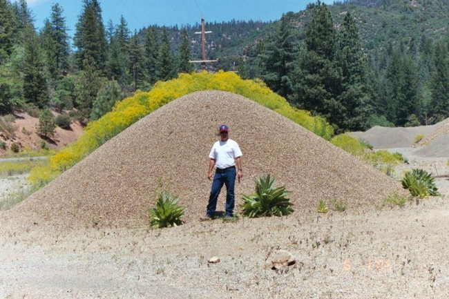 Gravel Pile Dyer's Woad and Mullein Klamath NF Marla Knight web
