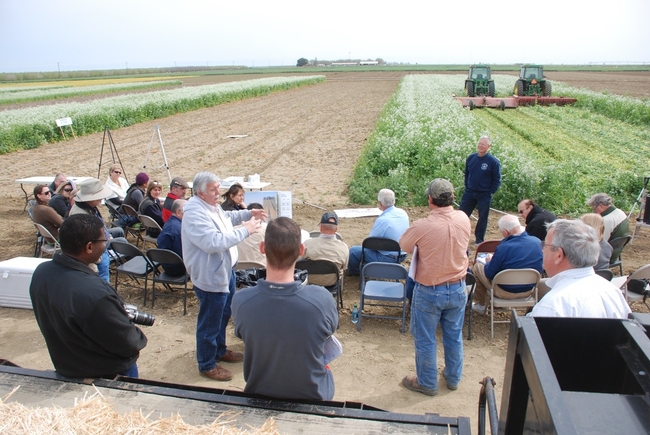 Cooperative Extension academicssharing information with farmers at study site, which is a farm with two tractors in the background.