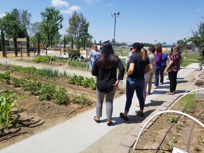 UCCE Kern County educator conducting training at an outdoor garden with participants.