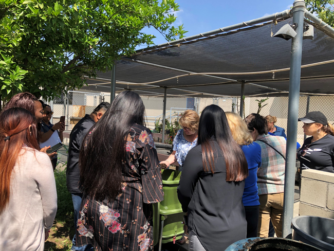 Training participants observe gardening demonstration from UCCE educator.