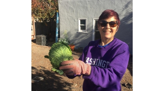 Elaine Silver, CFHL UCCE Educator who works with JobTrain pictured with a head of cabbage