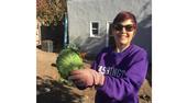 Elaine Silver, CFHL UCCE Educator who works with JobTrain pictured with a head of cabbage