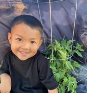 Child smiling next to a 12-inch tomato plant