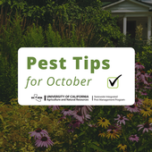 Pest prevention tips for October.