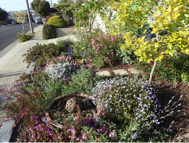 A front yard that has been converted to mulch and is full of colorful flowering plants.