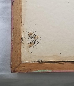 Back of a picture frame with pin-sized black spots.