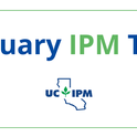 January IPM Tips.