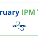 Use the UC IPM Seasonal Landscape IPM Checklist for a list of pest prevention activities for each month.