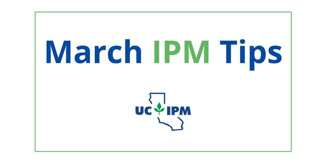 Visit the UC IPM Seasonal Landscape IPM Checklist for a list of pest prevention activities for each month.
