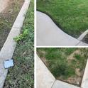 Figure 4. Examples of lawn-concrete interface in residential settings. The picture on the left shows one of the lawn-concrete sites tested in the experiment. Photos by Dong-Hwan Choe.
