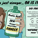 The potential health hazards of concentrated vinegar. Photo from the National Pesticide Information Center (NPIC).