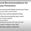 A slide from the webinar recording Flea Control and Diseases: Starting from Scratch hosted by UC IPM.