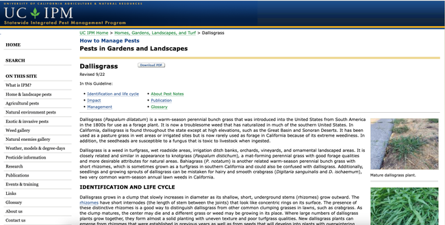 Figure 3. Older design of Pest Notes and other pages on the UC IPM website.