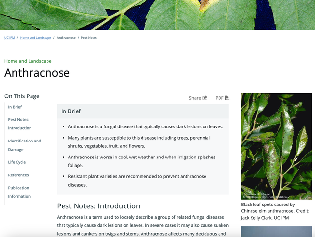 Figure 4. A newly designed page from the Home & Landscape section of the UC IPM website.