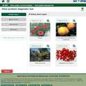 Plant problem diagnostic tool menu.